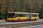 7804.jpg