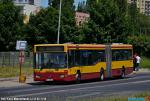 9564.jpg