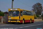 9985.jpg